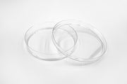 100 X 20 mm Dishes, PureCol® Collagen Coated