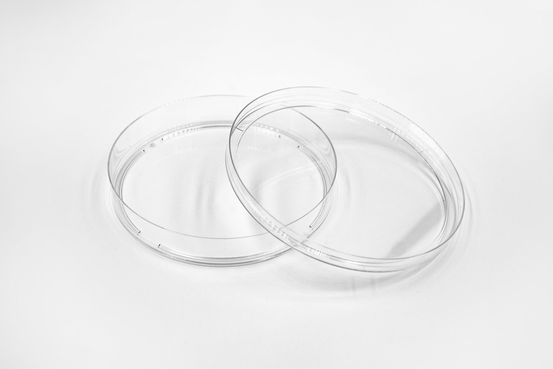 100 X 20 mm Dishes, PureCol® Collagen Coated