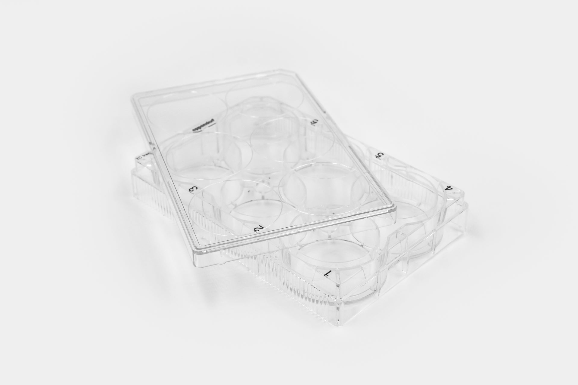 6-well Plates, PureCol® Collagen Coated