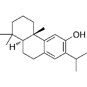 Ferruginol