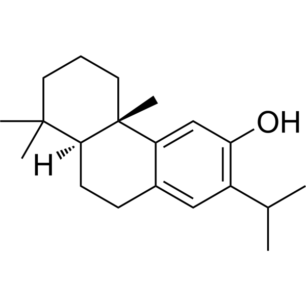 Ferruginol