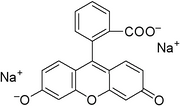 Fluorescein Sodium