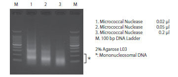 EpiScope Nucleosome Preparation Kit - Gene function - Takara Bio