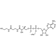 3’-Dephosphocoenzyme A, Sodium Salt