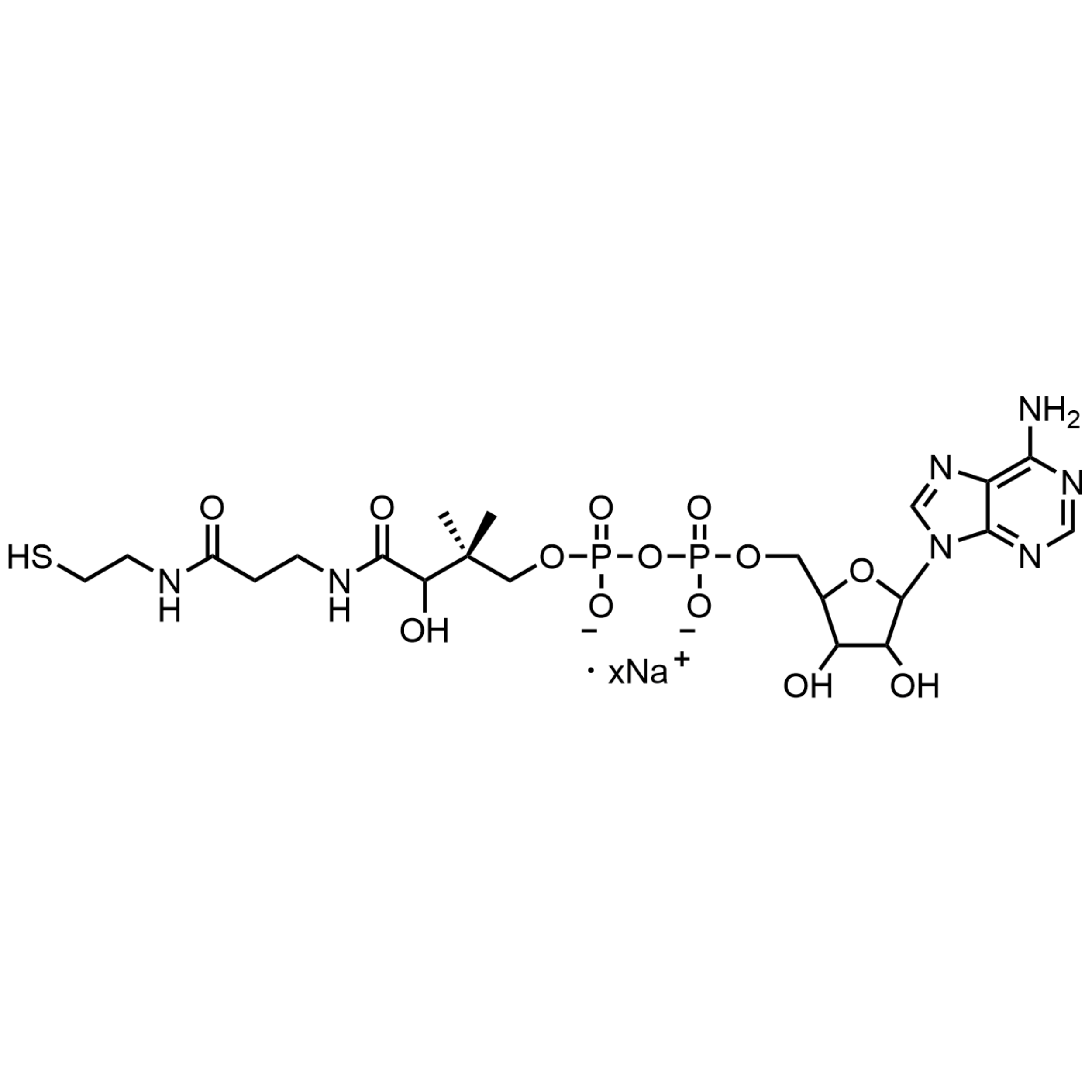 3’-Dephosphocoenzyme A, Sodium Salt