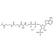 Isobutyryl Coenzyme A, Lithium salt