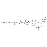 Lauroyl Coenzyme A, Sodium salt