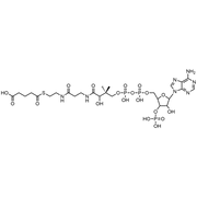 Glutaryl Coenzyme A, Free acid