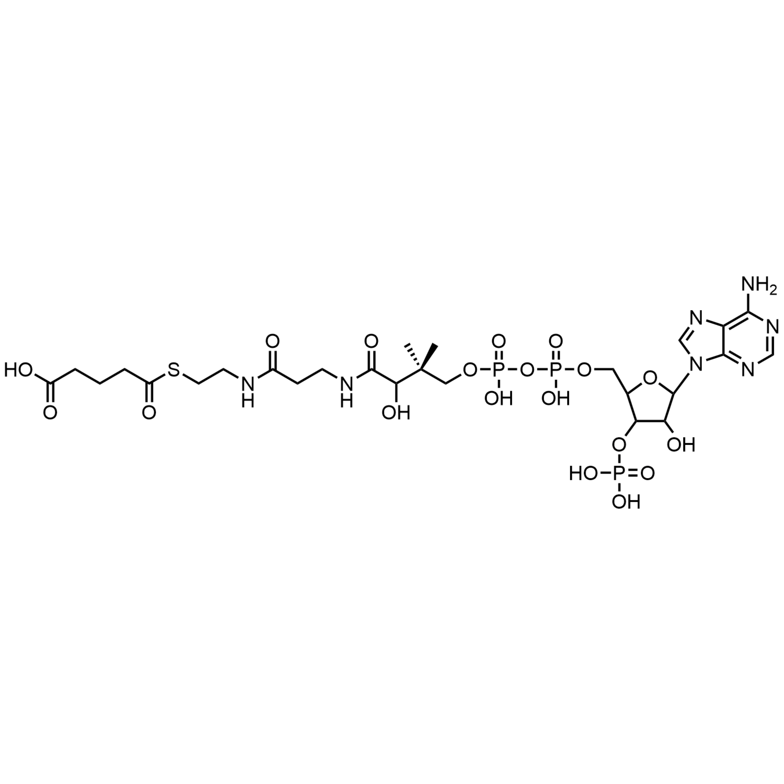 Glutaryl Coenzyme A, Free acid