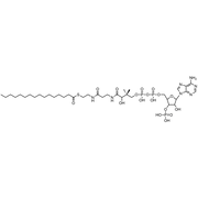 Palmitoyl Coenzyme A, Free acid