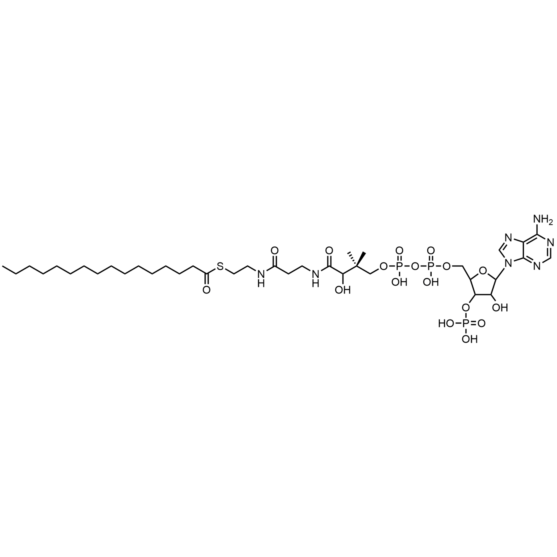 Palmitoyl Coenzyme A, Free acid