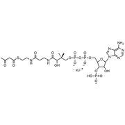 Acetoacetyl Coenzyme A, Lithium salt