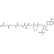 Succinyl Coenzyme A, Lithium salt