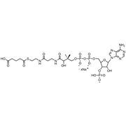 Glutaryl Coenzyme A, Sodium salt