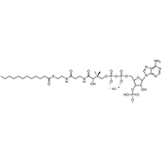 Lauroyl Coenzyme A, Lithium salt
