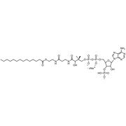 Myristoyl Coenzyme A, Sodium salt