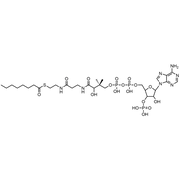 Octanoyl Coenzyme A, Free acid