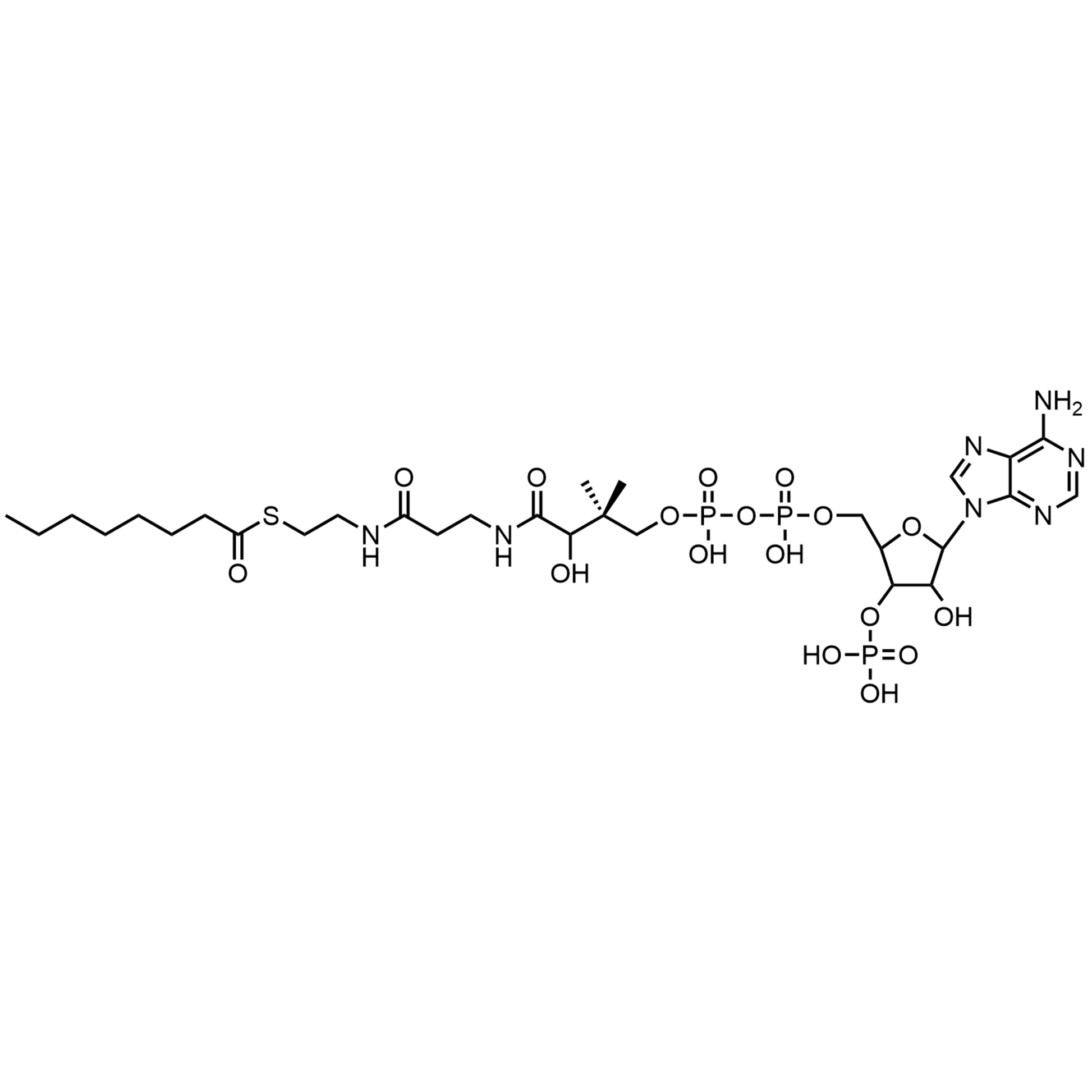 Octanoyl Coenzyme A, Free acid