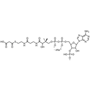 Malonyl Coenzyme A, Sodium salt