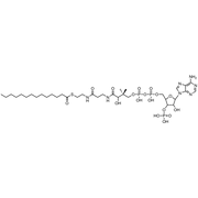 Myristoyl Coenzyme A, Free acid