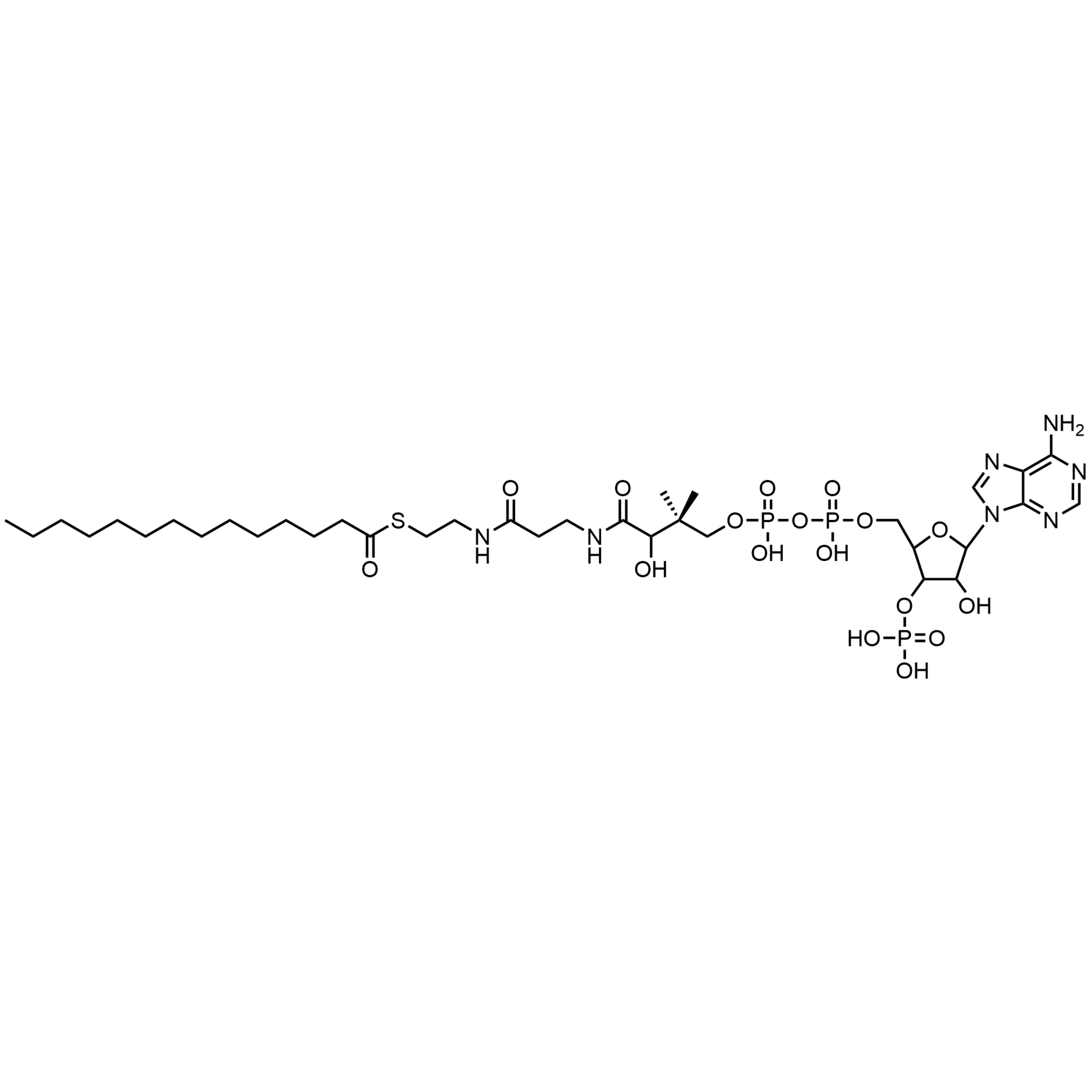 Myristoyl Coenzyme A, Free acid