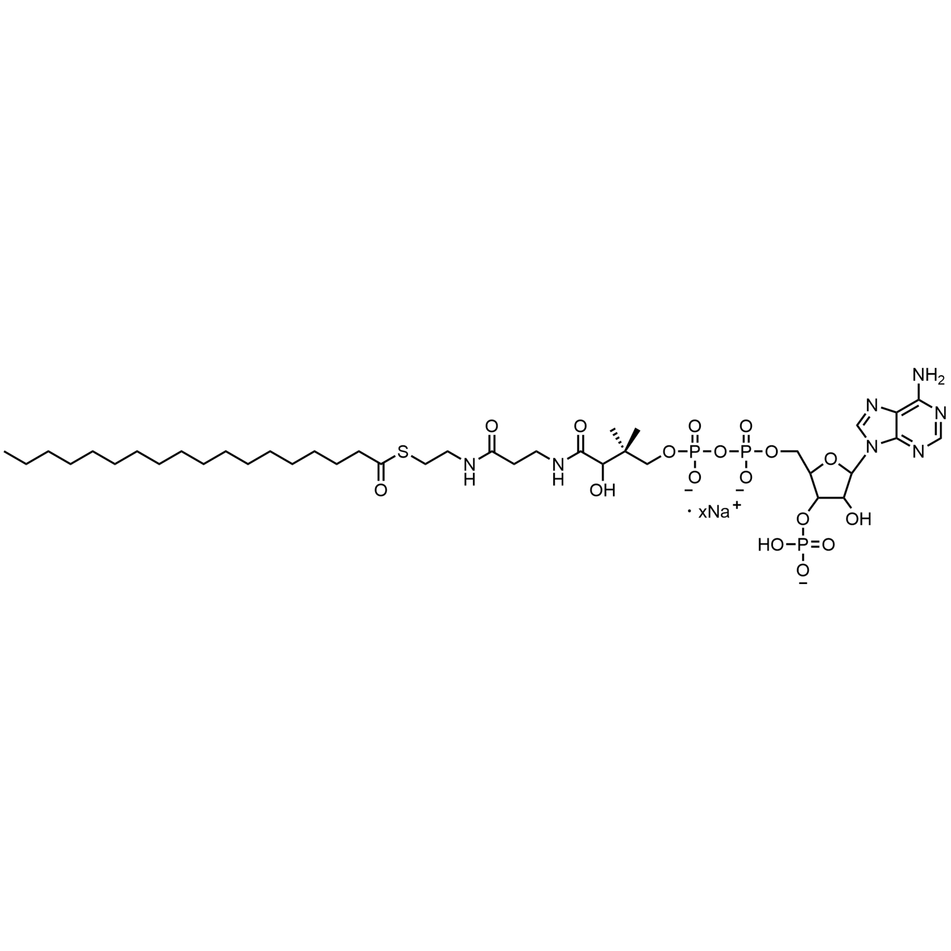 Stearoyl Coenzyme A, Sodium salt