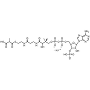 Methylmalonyl Coenzyme A, Lithium salt