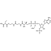 Ethylmalonyl Coenzyme A, Sodium salt