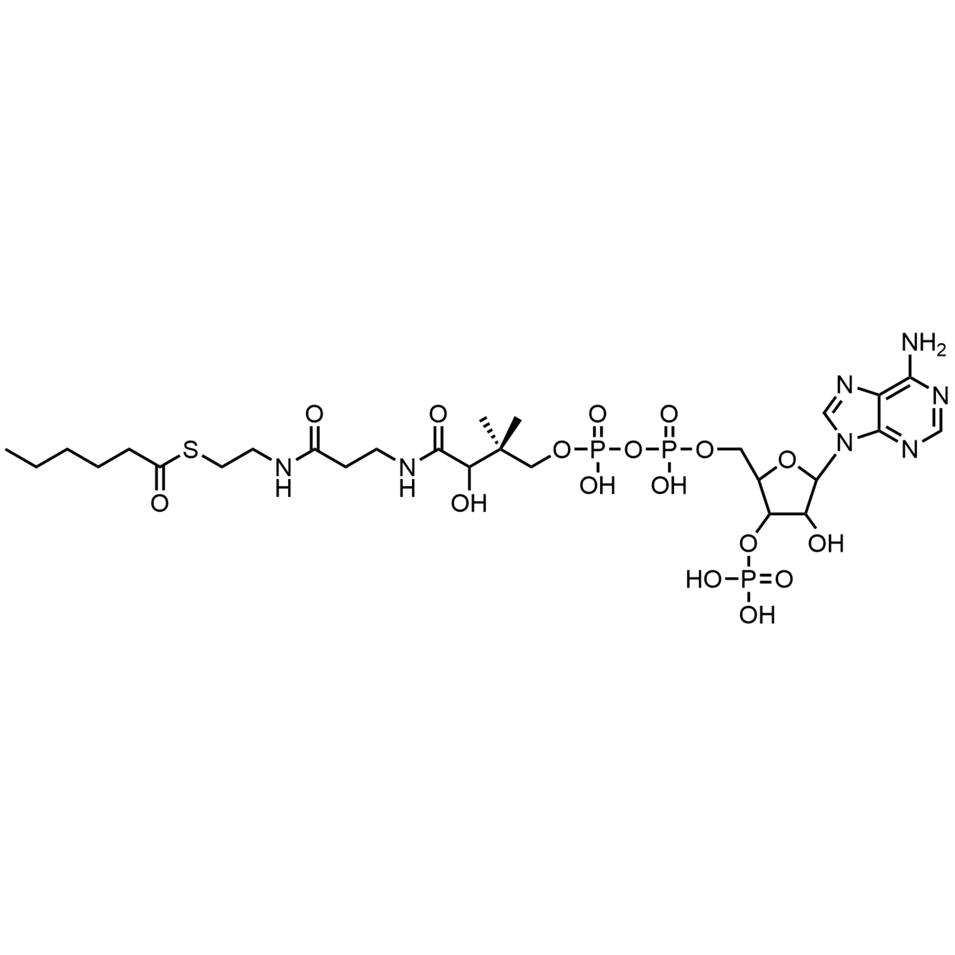 Hexanoyl Coenzyme A, Free acid