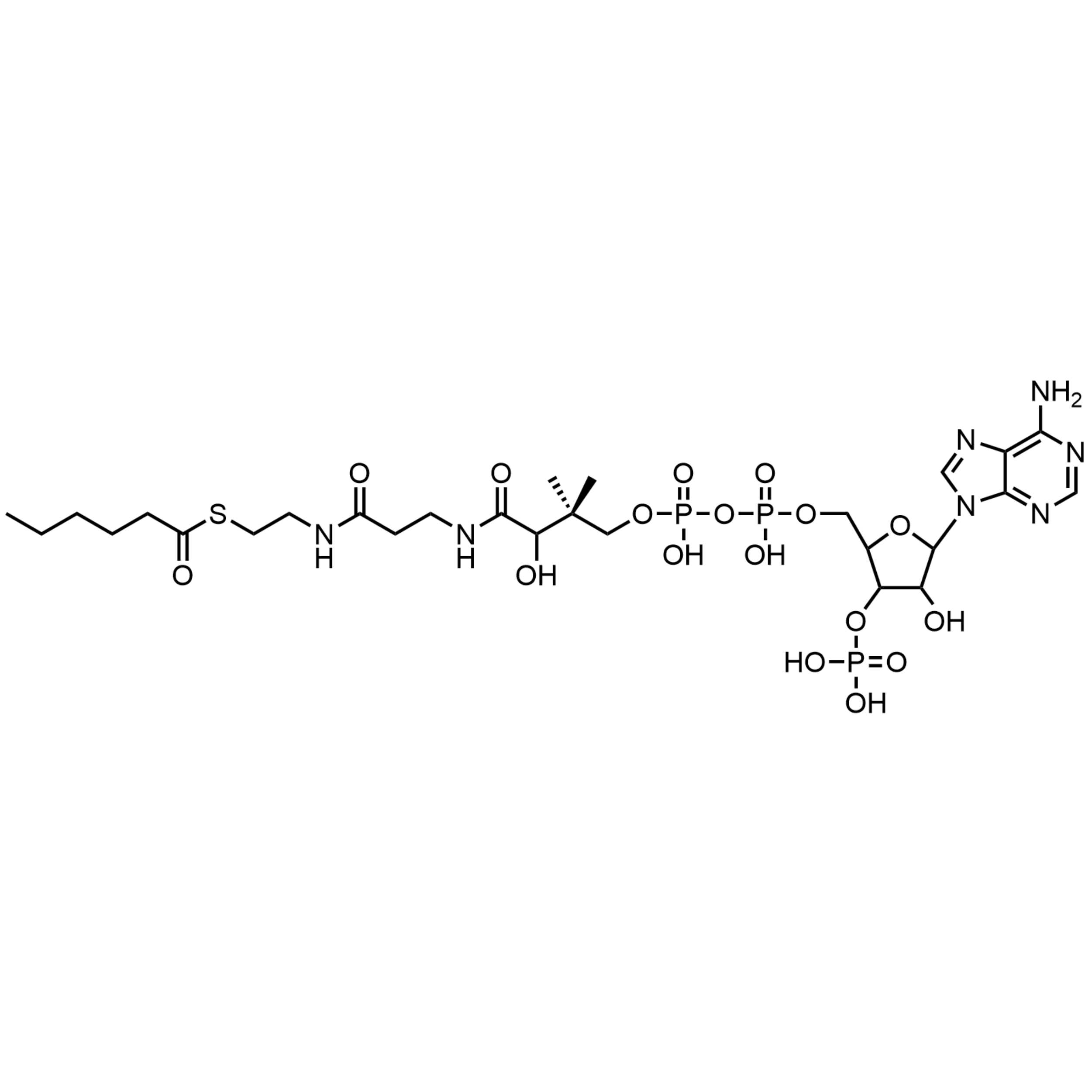 Hexanoyl Coenzyme A, Free acid