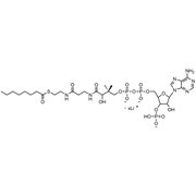 Octanoyl Coenzyme A, Lithium salt