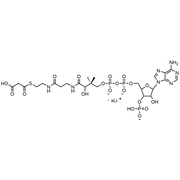 Malonyl Coenzyme A, Lithium salt