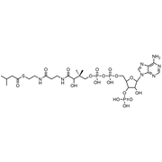 Isovaleryl Coenzyme A, Free acid