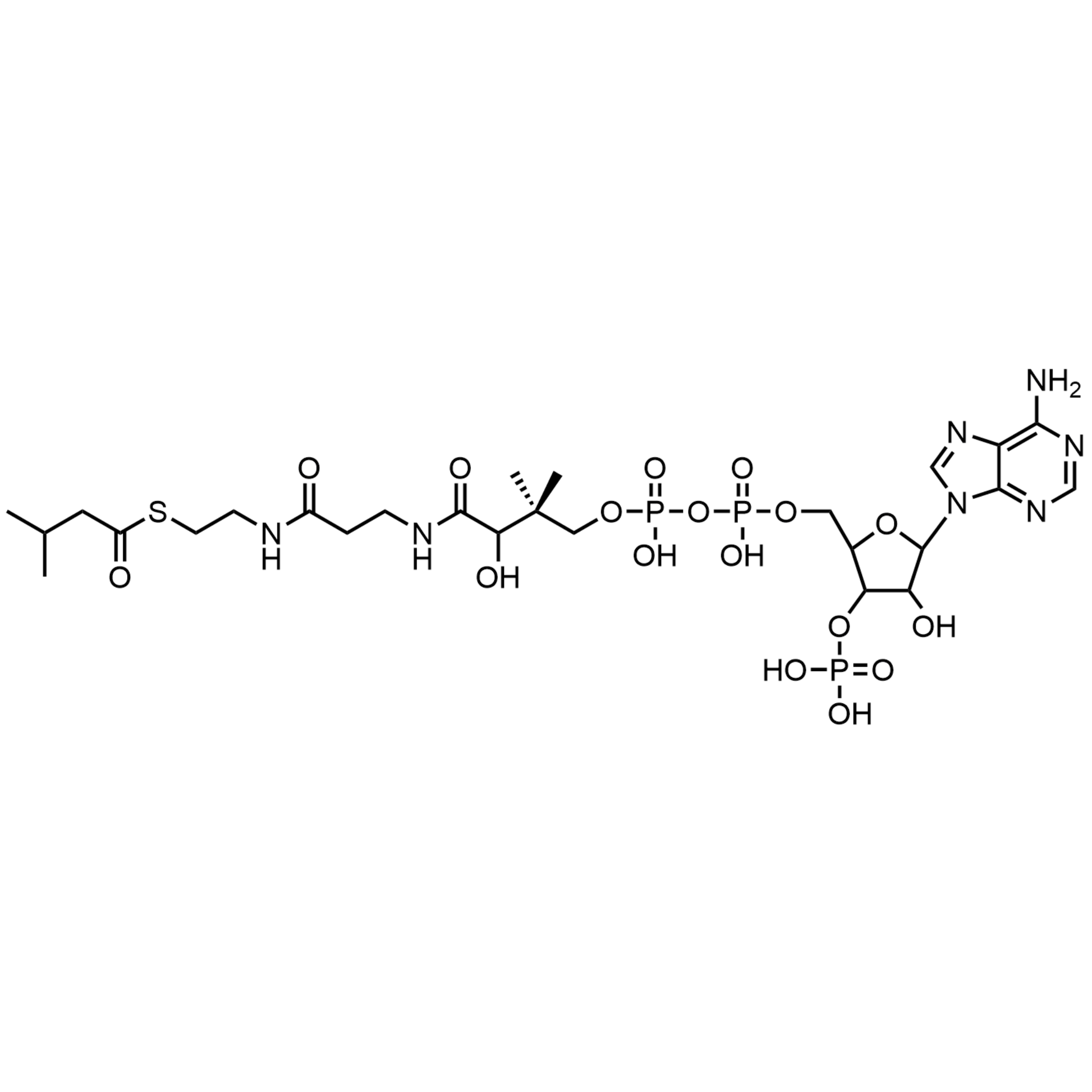 Isovaleryl Coenzyme A, Free acid