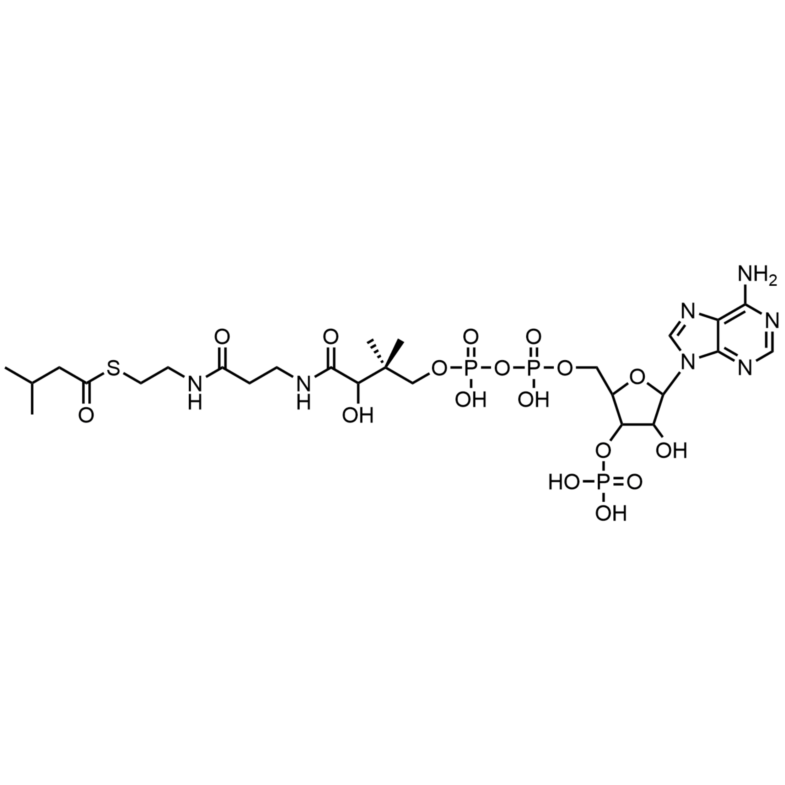 Isovaleryl Coenzyme A, Free acid