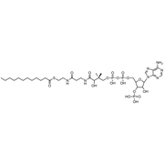 Lauroyl Coenzyme A, Free acid
