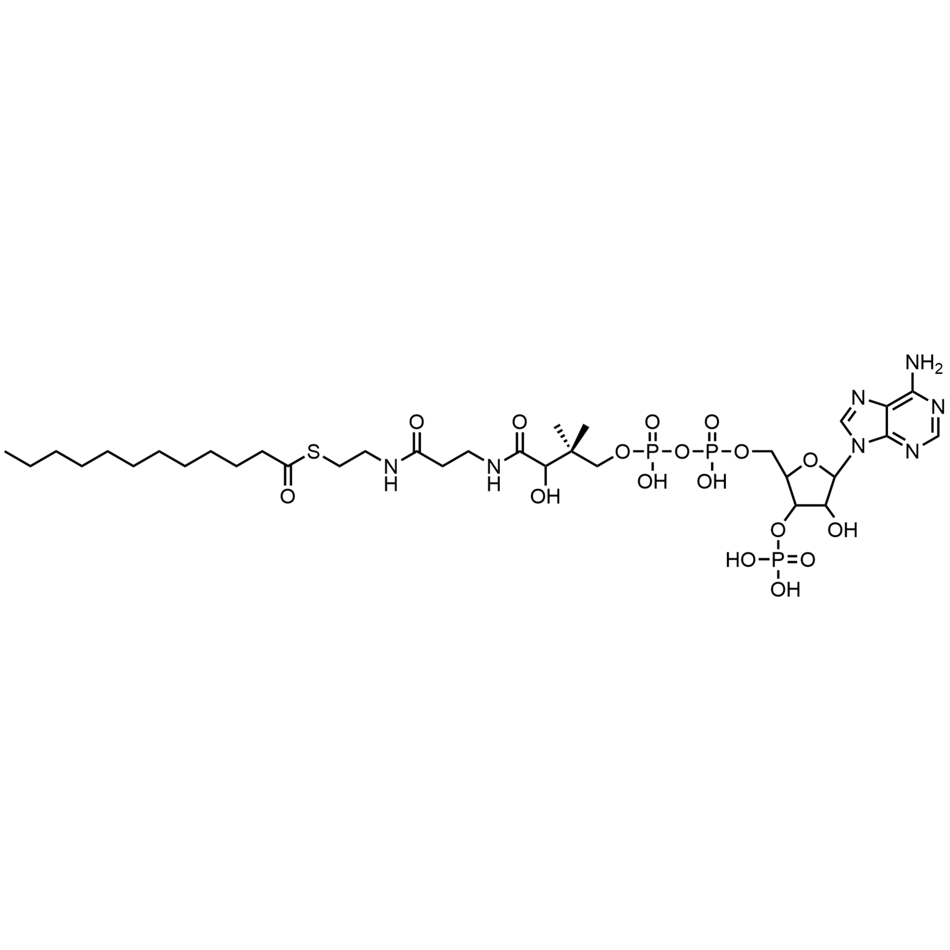 Lauroyl Coenzyme A, Free acid