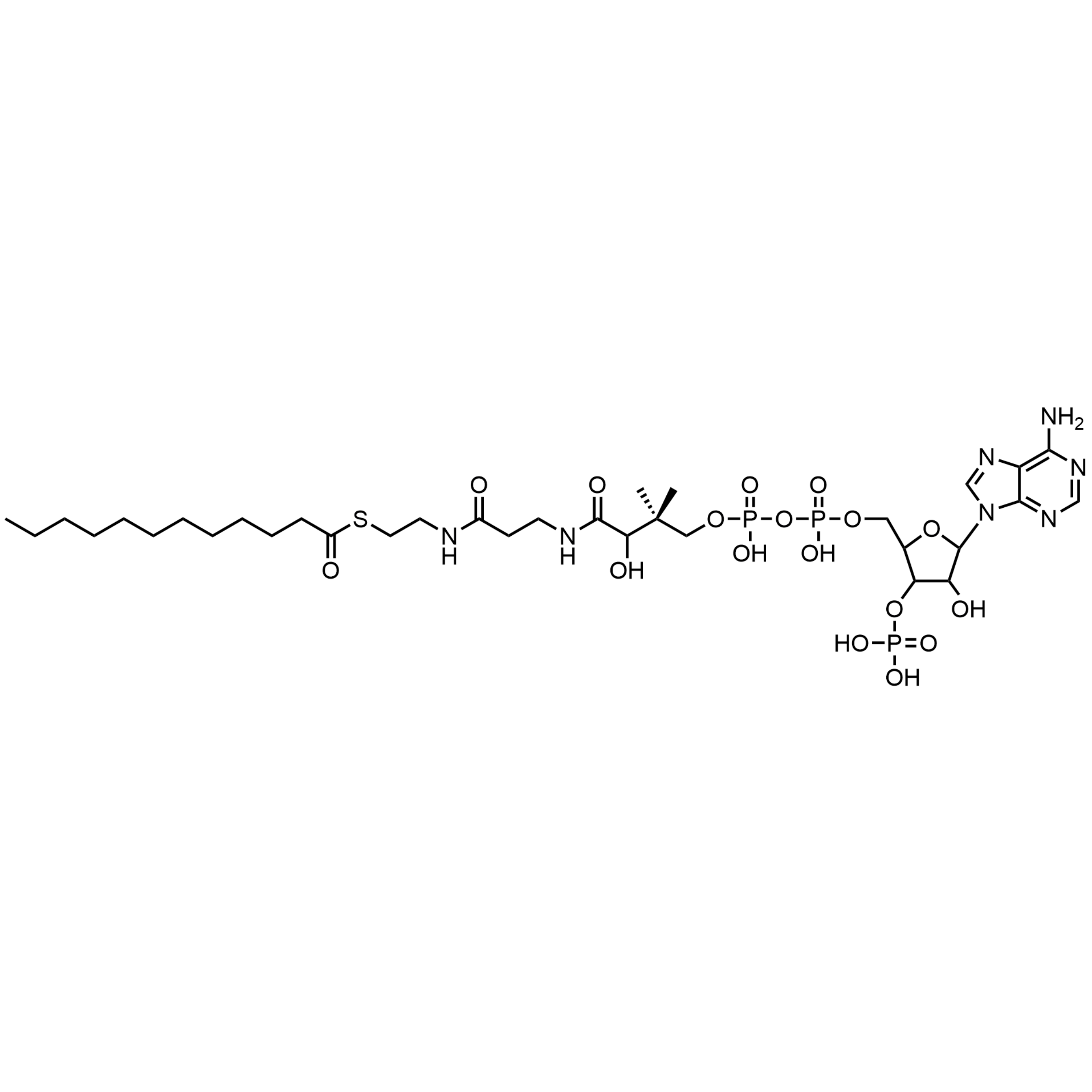 Lauroyl Coenzyme A, Free acid