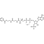 Benzoyl Coenzyme A, Lithium salt