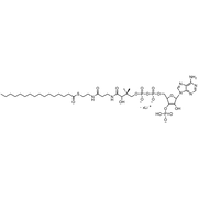 Palmitoyl Coenzyme A, Lithium salt