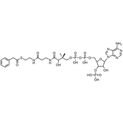Phenylacetyl Coenzyme A, Free acid