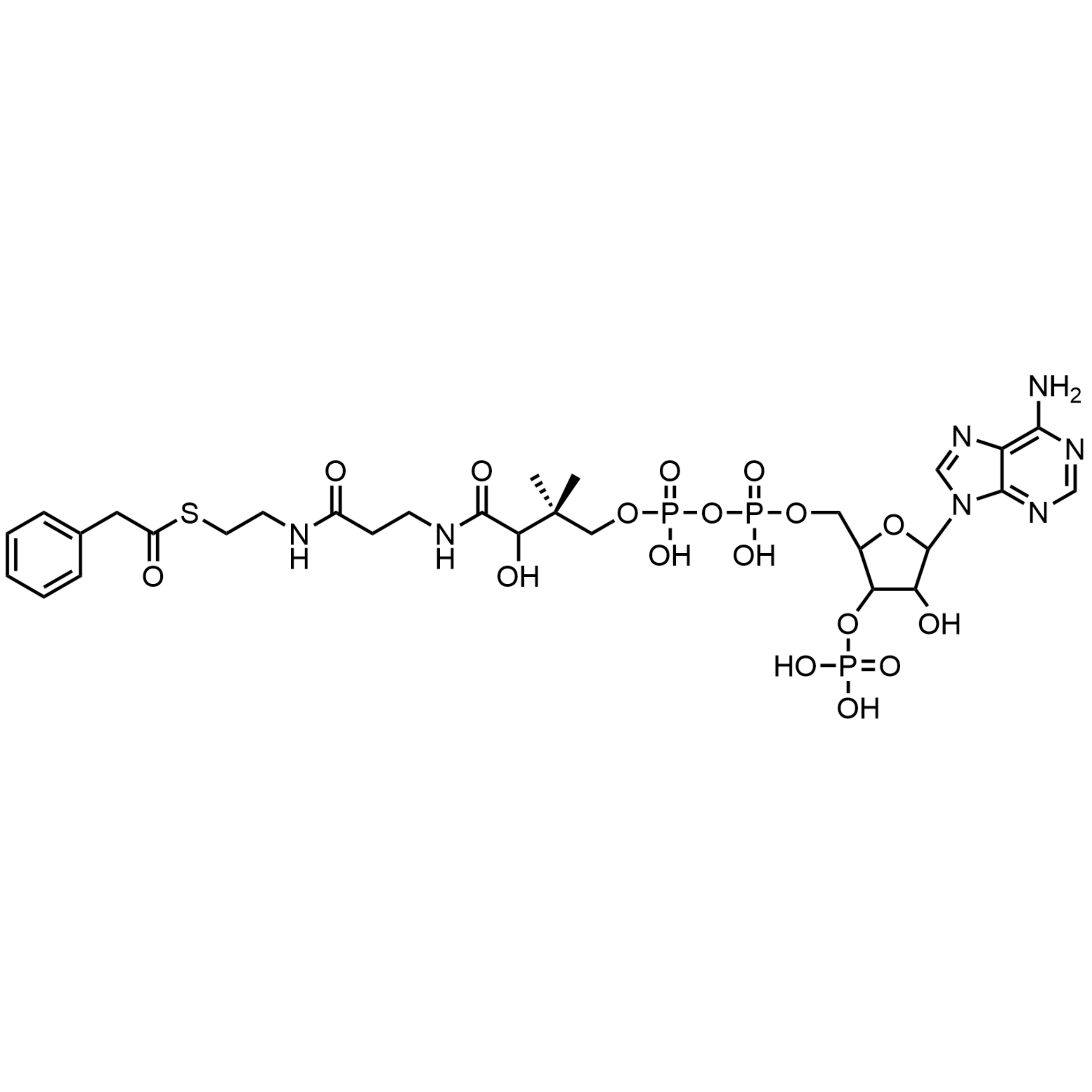 Phenylacetyl Coenzyme A, Free acid