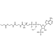 Butyryl Coenzyme A, Lithium Salt