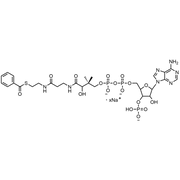 Benzoyl Coenzyme A, Sodium salt