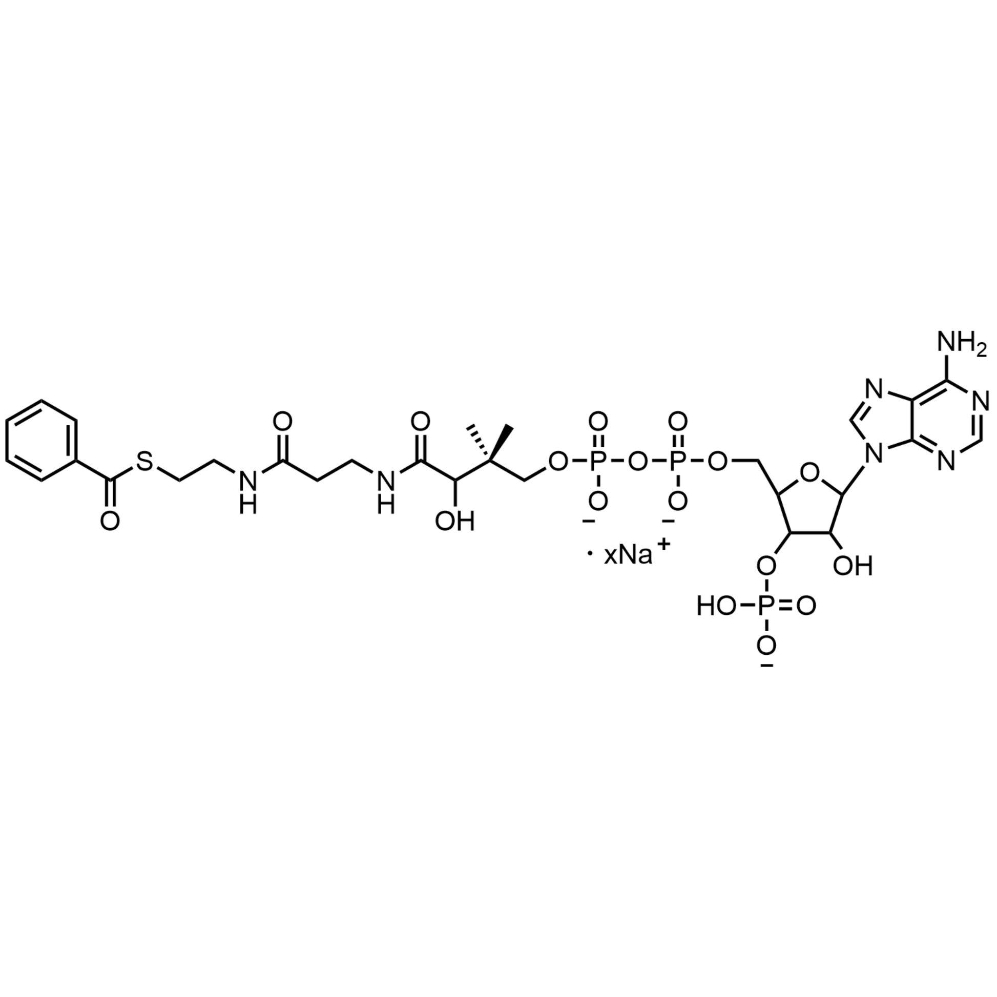Benzoyl Coenzyme A, Sodium salt