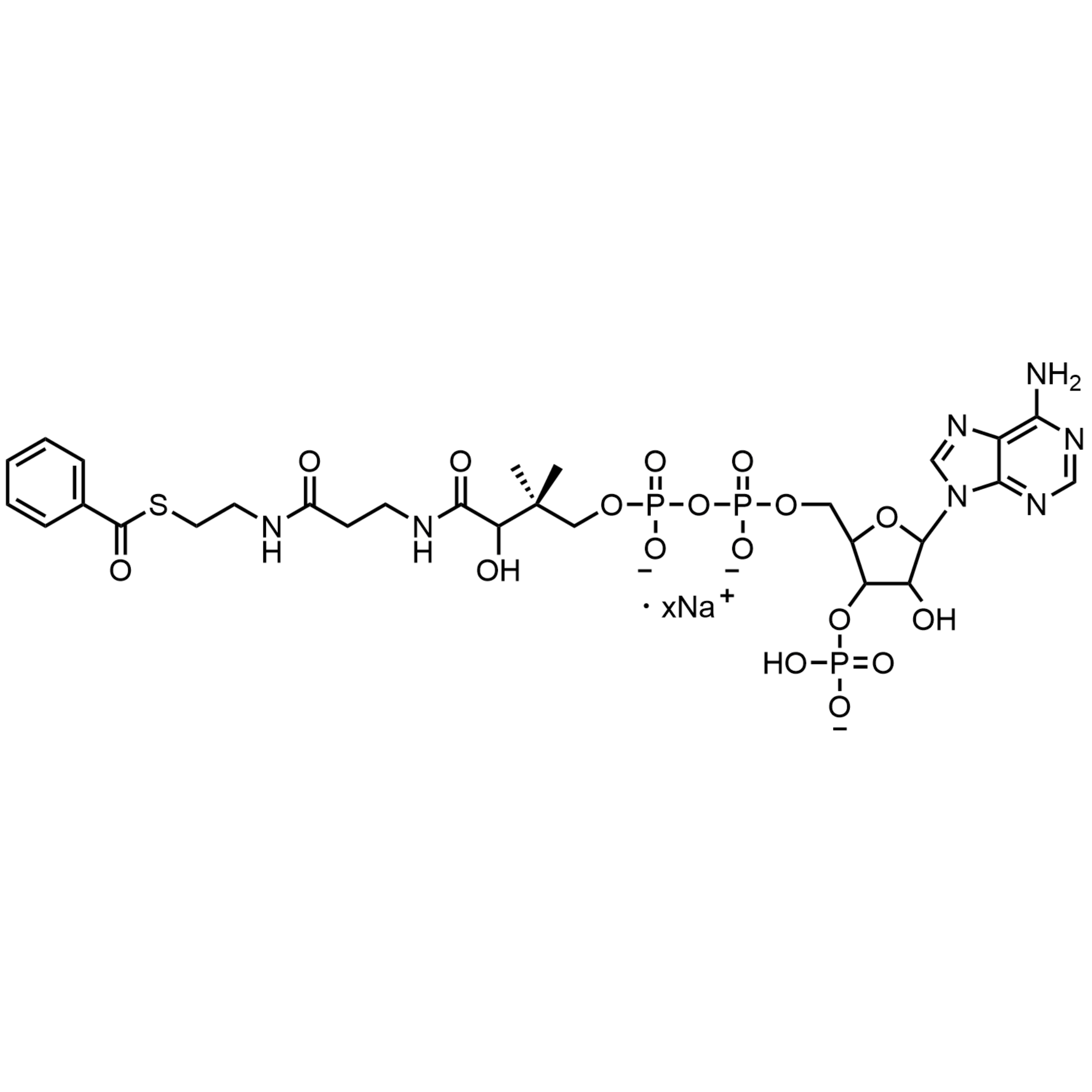 Benzoyl Coenzyme A, Sodium salt