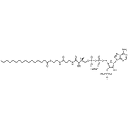Palmitoyl Coenzyme A, Sodium salt