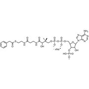 Phenylacetyl Coenzyme A, Sodium salt