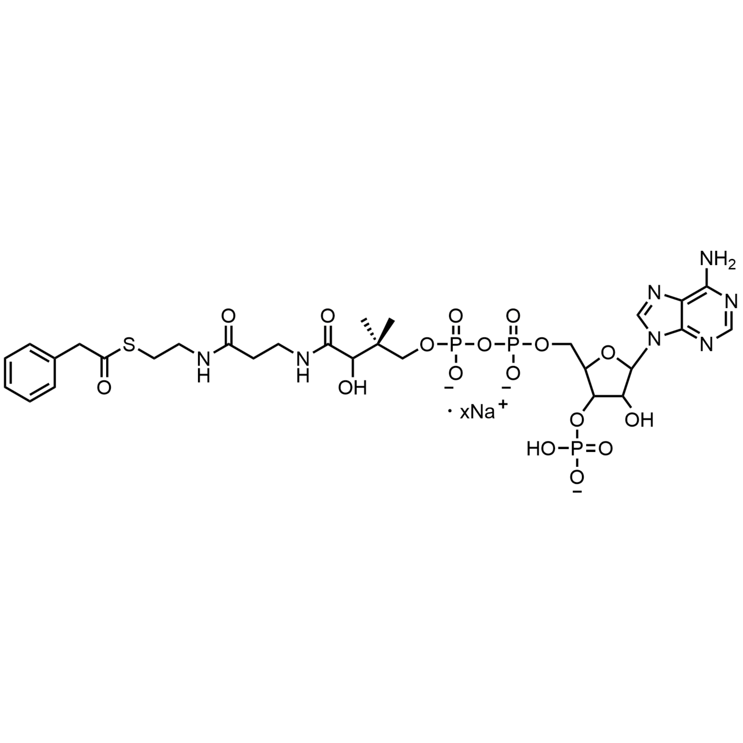 Phenylacetyl Coenzyme A, Sodium salt