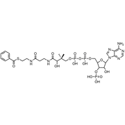 Benzoyl Coenzyme A, Free acid